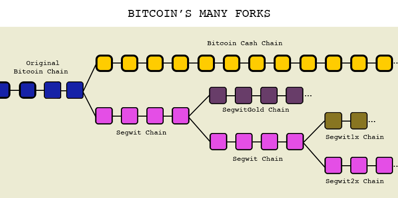 Bitcoin's Many Forks — diagram showing chain splits including Bitcoin Cash, SegwitGold, Segwit1x, and Segwit2x